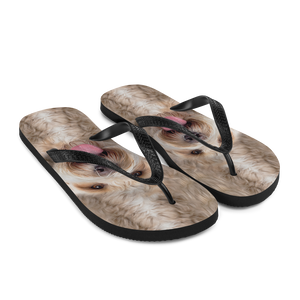 Labradoodle Dog Flip-Flops by Design Express