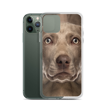 Weimaraner Dog iPhone Case by Design Express