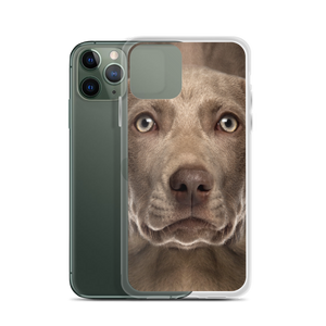 Weimaraner Dog iPhone Case by Design Express