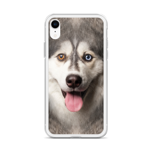 Husky Dog iPhone Case by Design Express