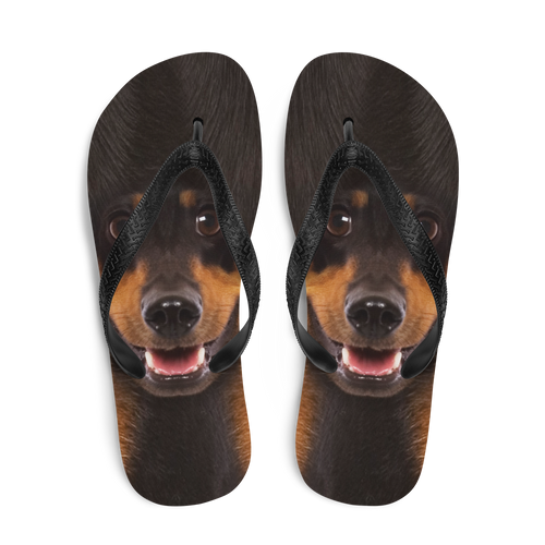 Dachshund Dog Flip-Flops by Design Express