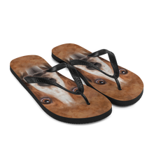 Basset Hound Dog Flip-Flops by Design Express