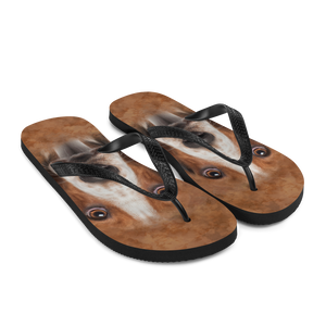 Basset Hound Dog Flip-Flops by Design Express