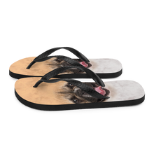 French Bulldog Flip-Flops by Design Express