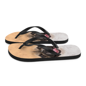 French Bulldog Flip-Flops by Design Express