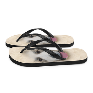 Great Pyrenees Dog Flip-Flops by Design Express