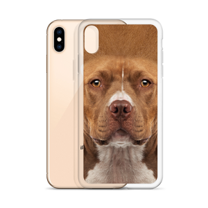 Staffordshire Bull Terrier Dog iPhone Case by Design Express