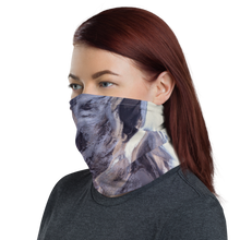 Aerials Neck Gaiter Masks by Design Express