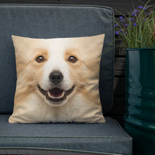 Border Collie "All Over Animal" Square Premium Pillow by Design Express