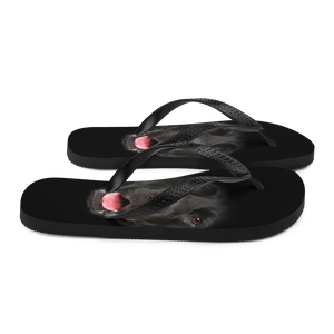 Labrador Dog Flip-Flops by Design Express