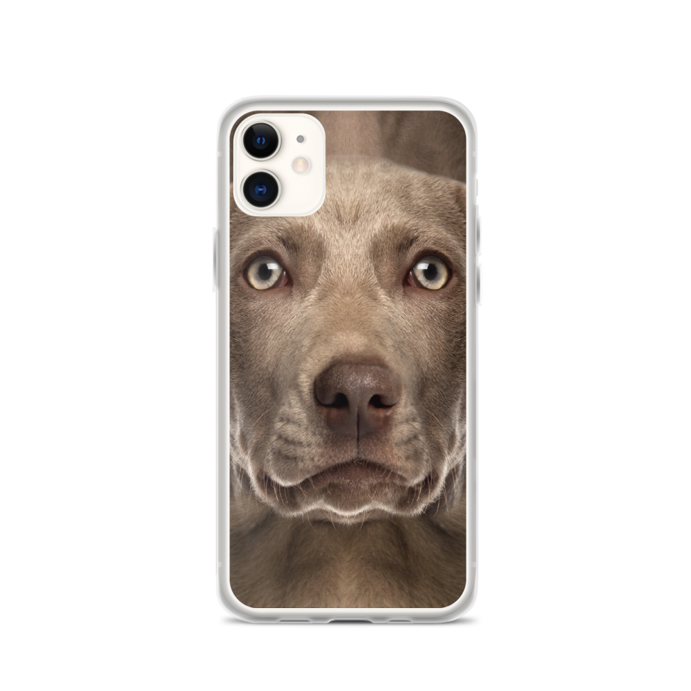 iPhone 11 Weimaraner Dog iPhone Case by Design Express