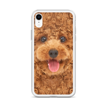 Poodle Dog iPhone Case by Design Express