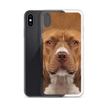 Staffordshire Bull Terrier Dog iPhone Case by Design Express