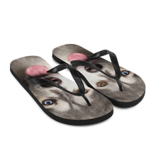 Husky Flip-Flops by Design Express