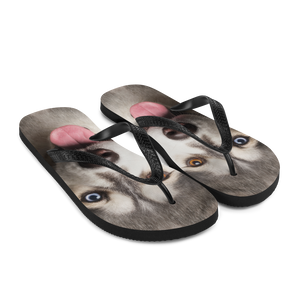 Husky Flip-Flops by Design Express