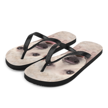 S Golden Retriever Dog Flip-Flops by Design Express