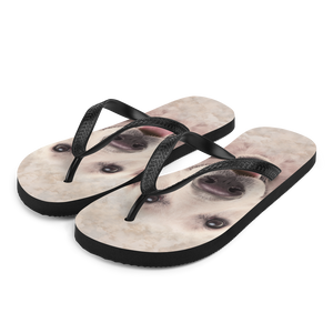 S Golden Retriever Dog Flip-Flops by Design Express