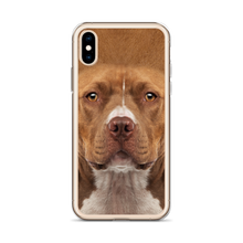 Staffordshire Bull Terrier Dog iPhone Case by Design Express