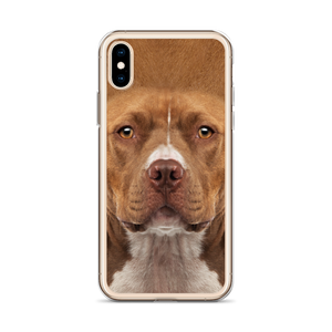 Staffordshire Bull Terrier Dog iPhone Case by Design Express