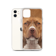 Staffordshire Bull Terrier Dog iPhone Case by Design Express