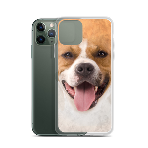 Pit Bull Dog iPhone Case by Design Express