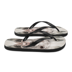 Great Dane Dog Flip-Flops by Design Express