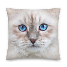 22×22 Siberian Kitten Premium Pillow by Design Express