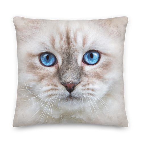 22×22 Siberian Kitten Premium Pillow by Design Express