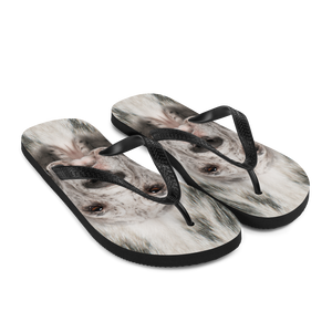 Great Dane Dog Flip-Flops by Design Express