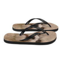 Shih Tzu Dog Flip-Flops by Design Express