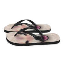 Shiba Inu Dog Flip-Flops by Design Express