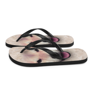 Shiba Inu Dog Flip-Flops by Design Express