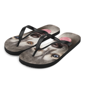 S Husky Flip-Flops by Design Express