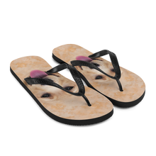 Yellow Labrador Dog Flip-Flops by Design Express