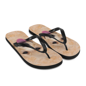 Yellow Labrador Dog Flip-Flops by Design Express