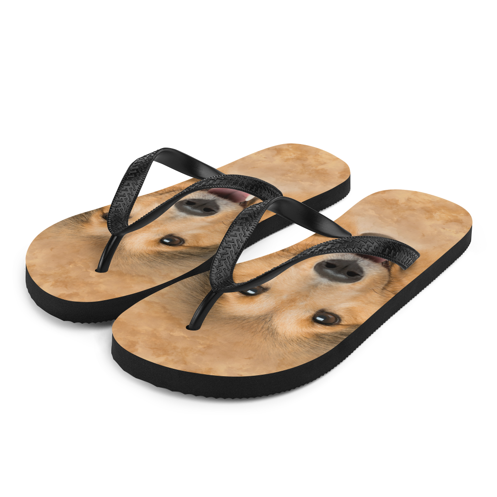 S Shetland Sheepdog Flip-Flops by Design Express