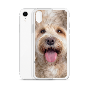 Labradoodle Dog iPhone Case by Design Express