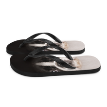 Boston Terrier Dog Flip-Flops by Design Express