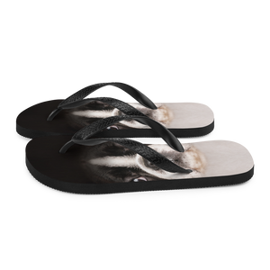 Boston Terrier Dog Flip-Flops by Design Express