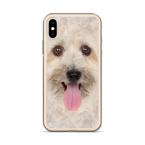 Bichon Havanese Dog iPhone Case by Design Express