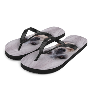 S Schnauzer Dog Flip-Flops by Design Express