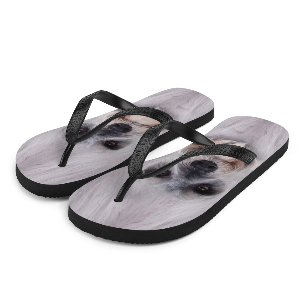 S Schnauzer Dog Flip-Flops by Design Express