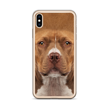 Staffordshire Bull Terrier Dog iPhone Case by Design Express