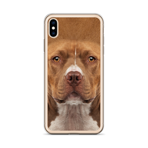 Staffordshire Bull Terrier Dog iPhone Case by Design Express