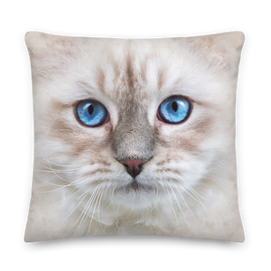 Siberian Kitten Premium Pillow by Design Express