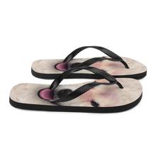 Shiba Inu Dog Flip-Flops by Design Express