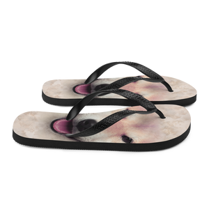 Shiba Inu Dog Flip-Flops by Design Express