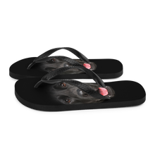 Labrador Dog Flip-Flops by Design Express