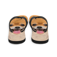 Pomeranian Dog Flip-Flops by Design Express