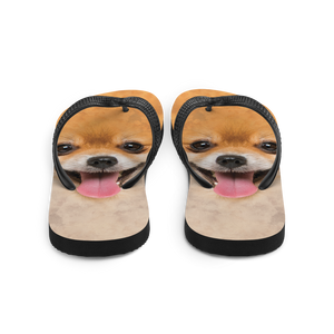 Pomeranian Dog Flip-Flops by Design Express